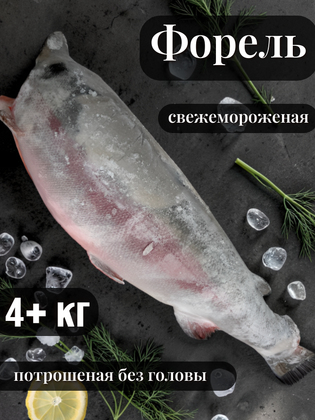 Форель потрошеная свежемороженая без головы 4+ кг